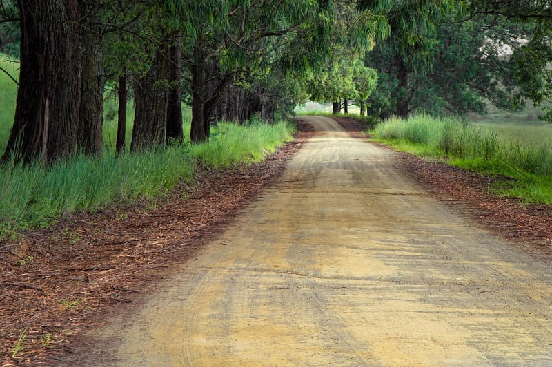 Uncharted Paths